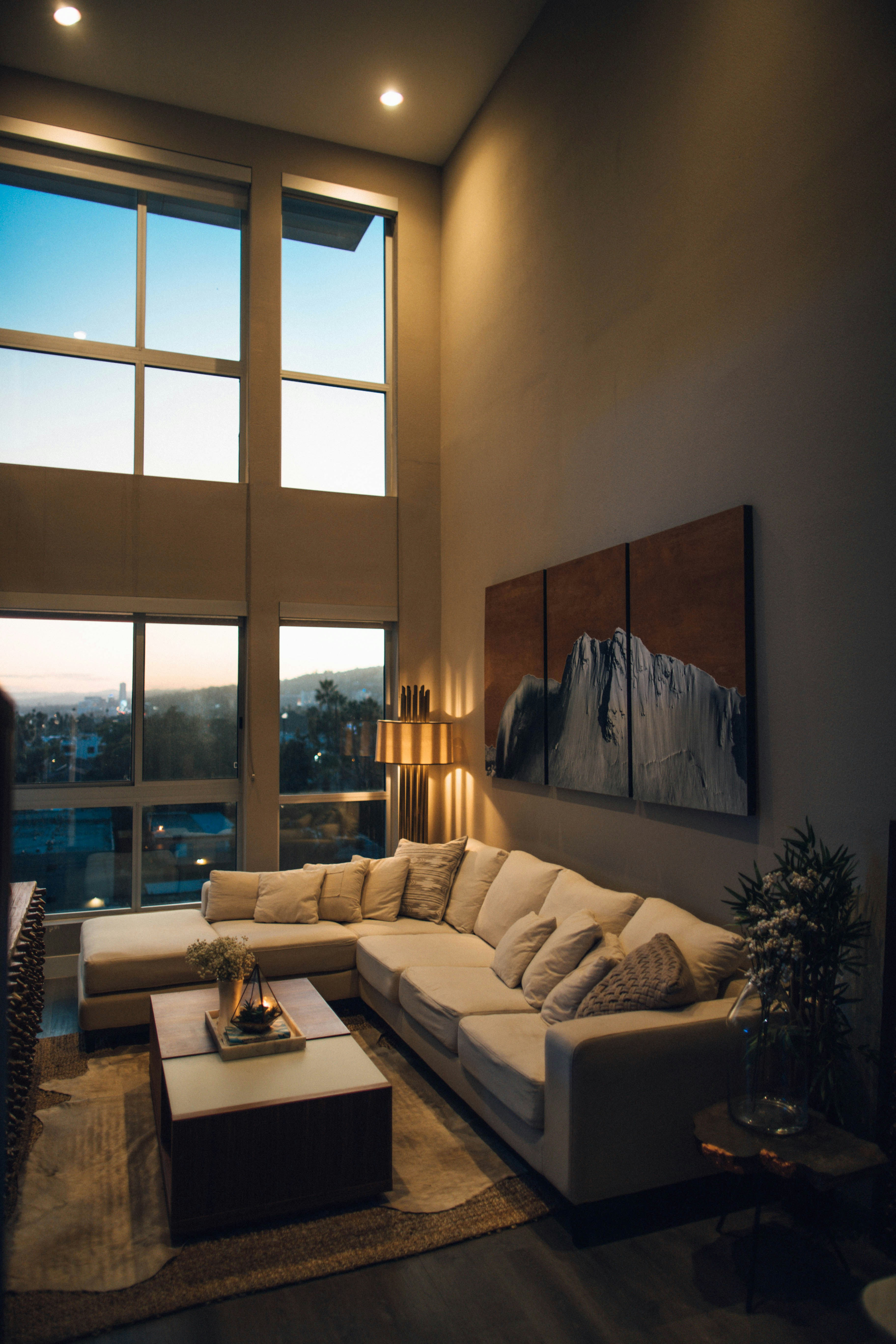 Professional office interior with plants and natural light