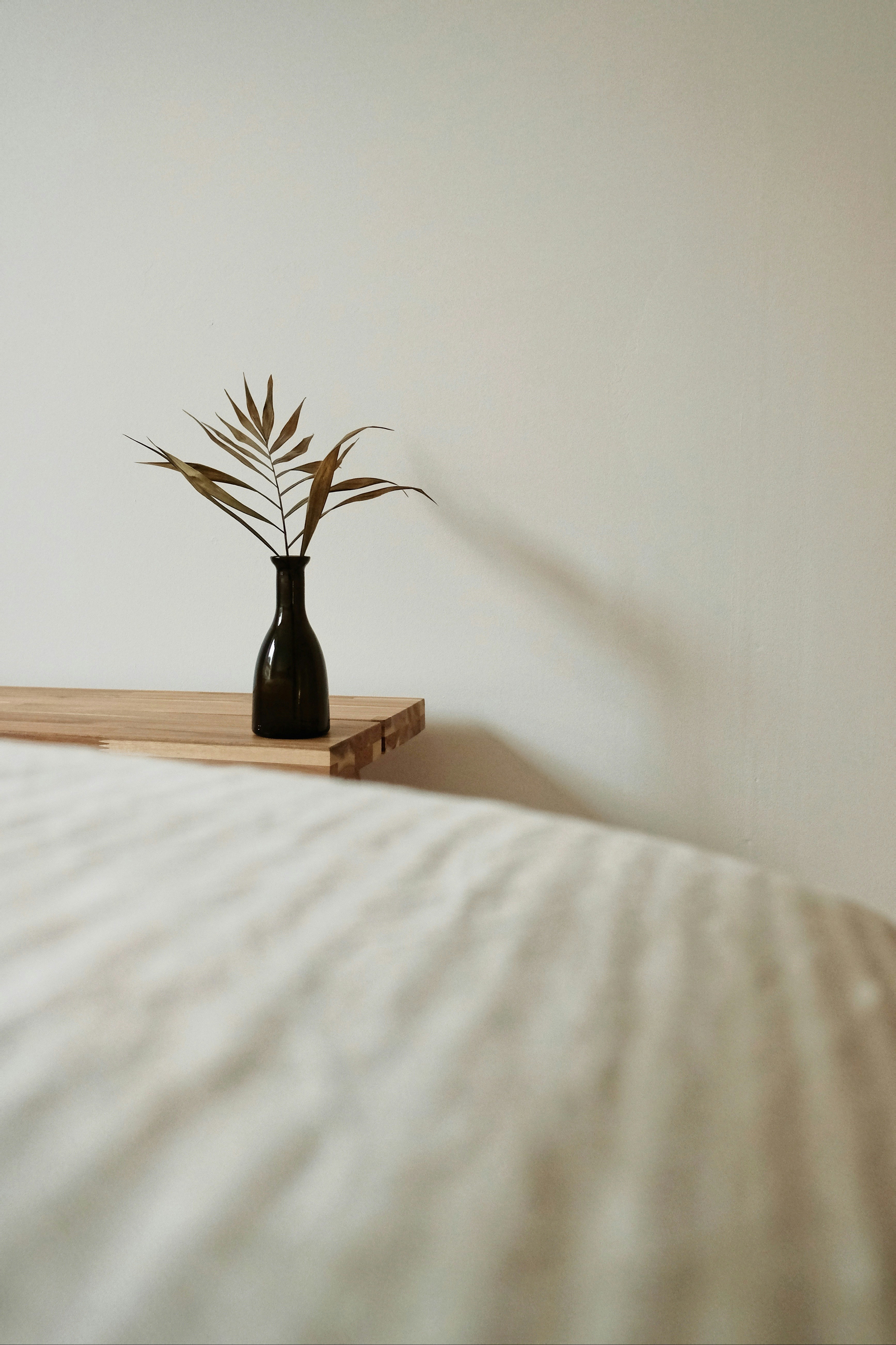 Calm therapy room environment with natural light