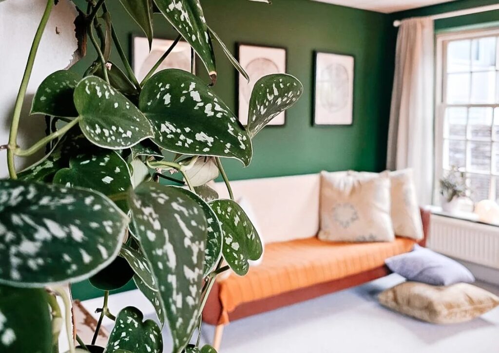 Quiet Therapy Rooms in Sheffield’s Porter Valley